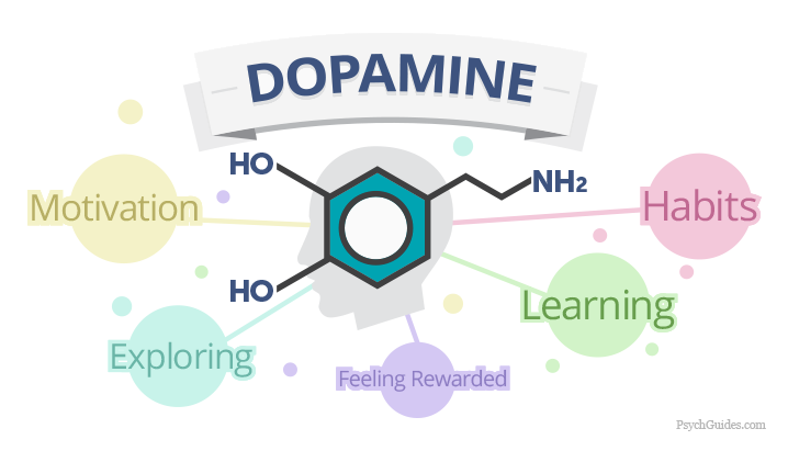 Dopamine, the Chemical of Addiction. Image credits: Psychguides